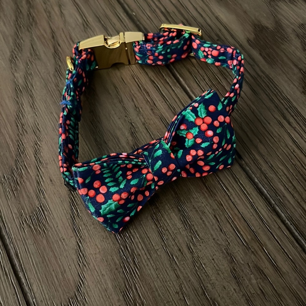 Dog Collar